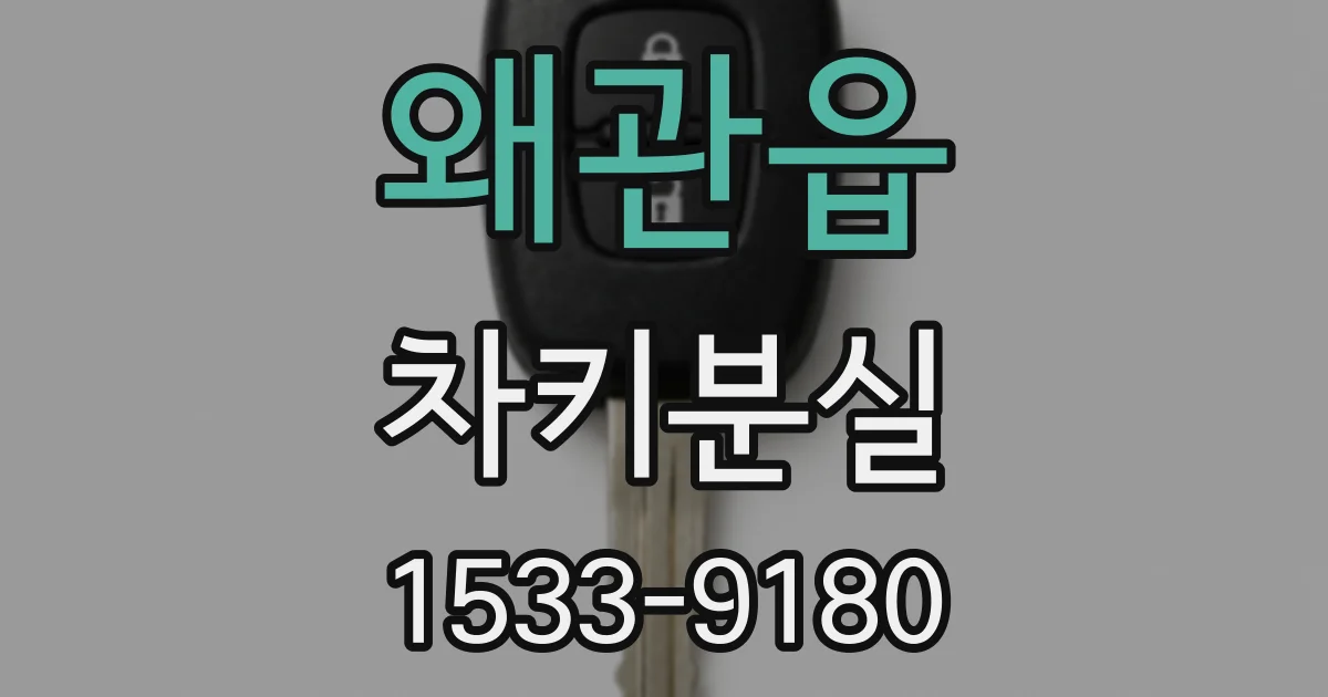 왜관읍 차키분실