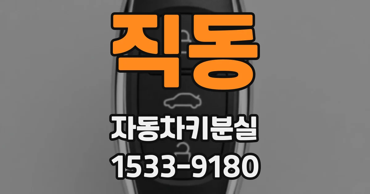 직동 자동차키분실