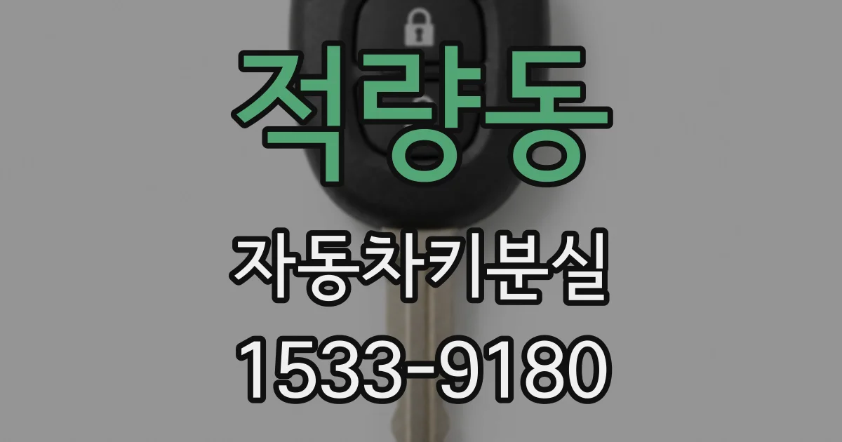 적량동 자동차키분실
