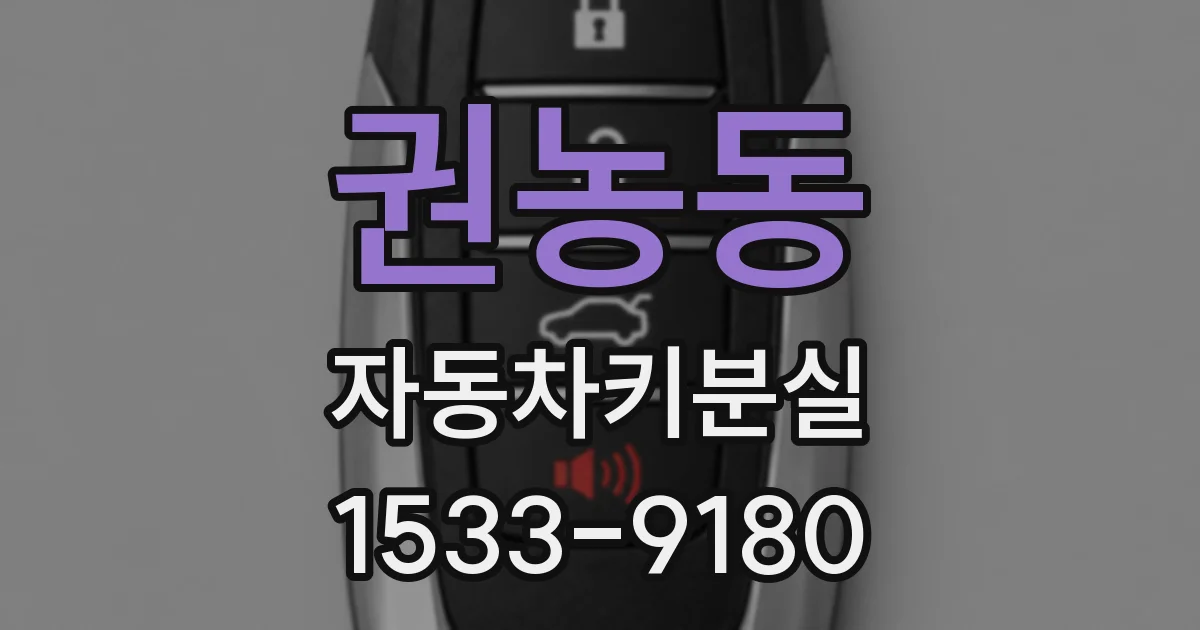 권농동 자동차키분실