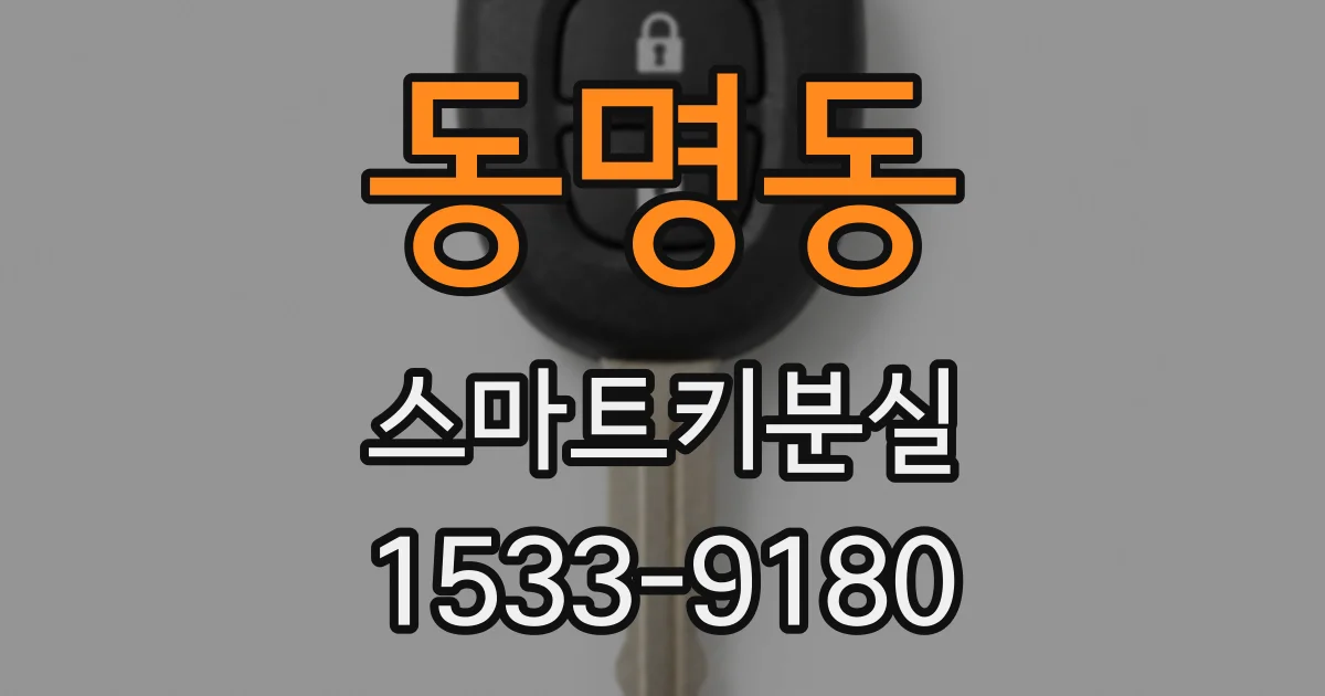 동명동 스마트키분실