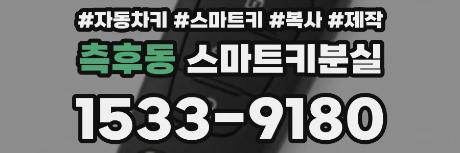 측후동 스마트키분실