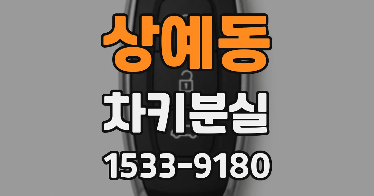 상예동 차키분실