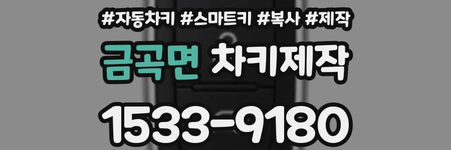 금곡면 차키제작