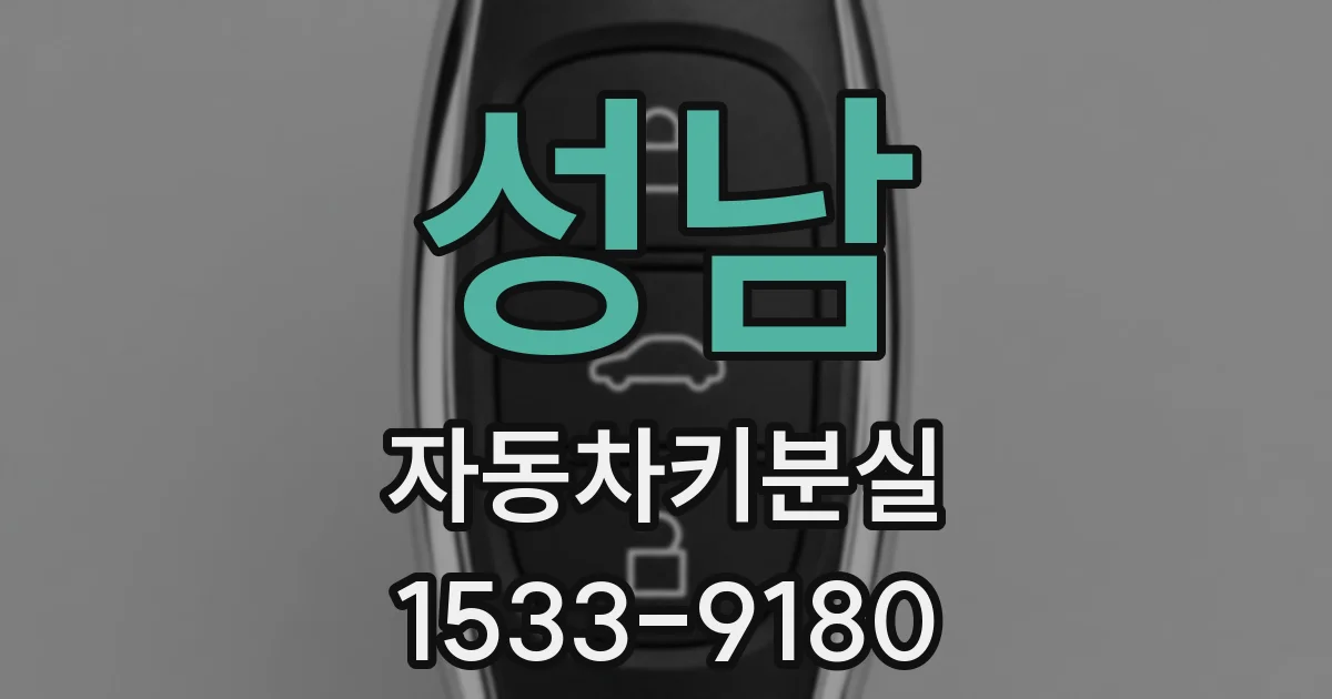 성남 자동차키분실