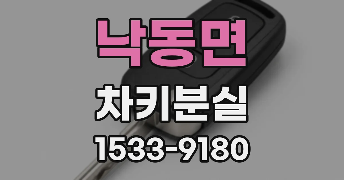 낙동면 차키분실
