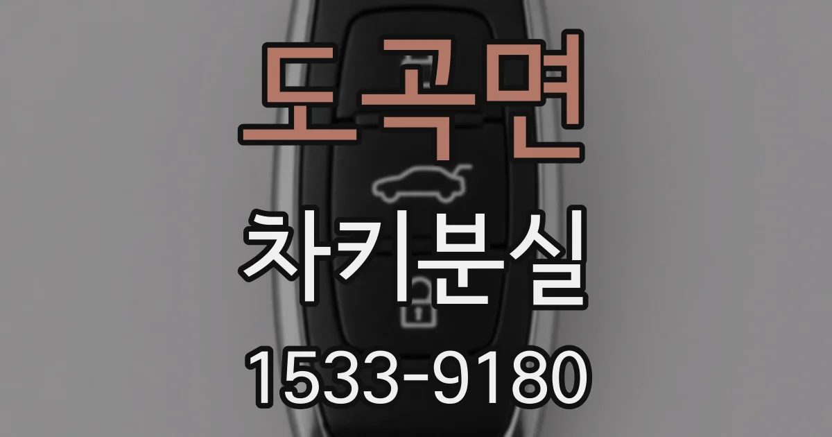 도곡면 차키분실