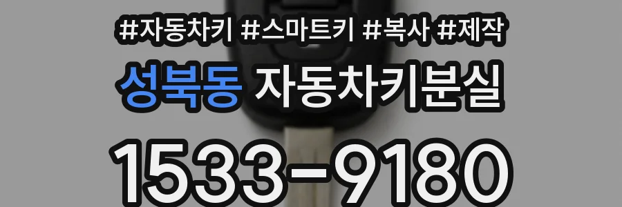 성북동 자동차키분실