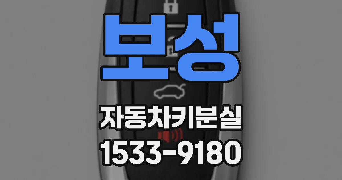 보성 자동차키분실