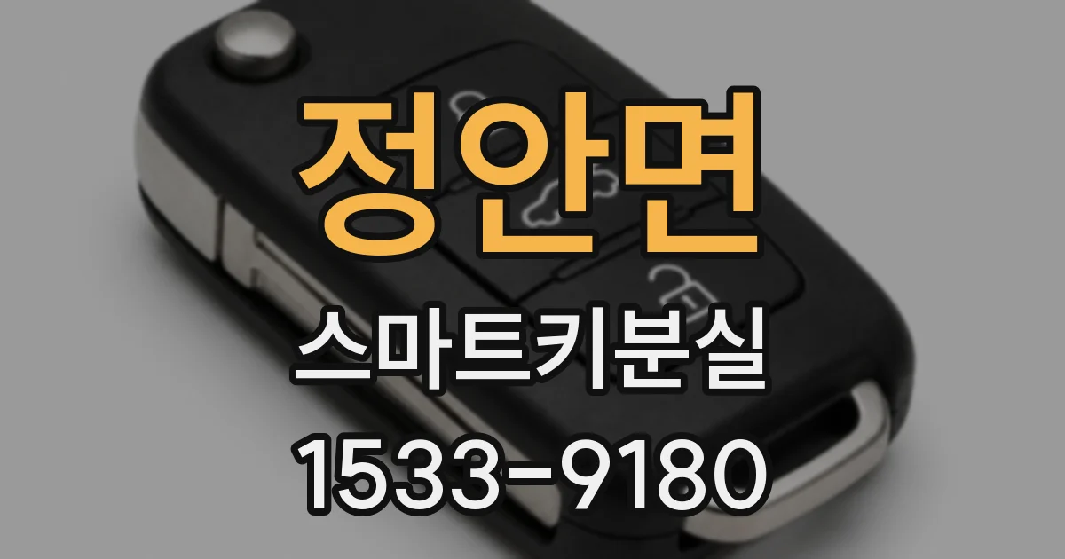 정안면 스마트키분실
