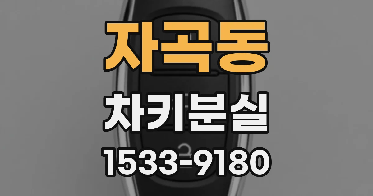 자곡동 차키분실