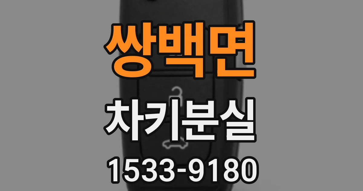 쌍백면 차키분실