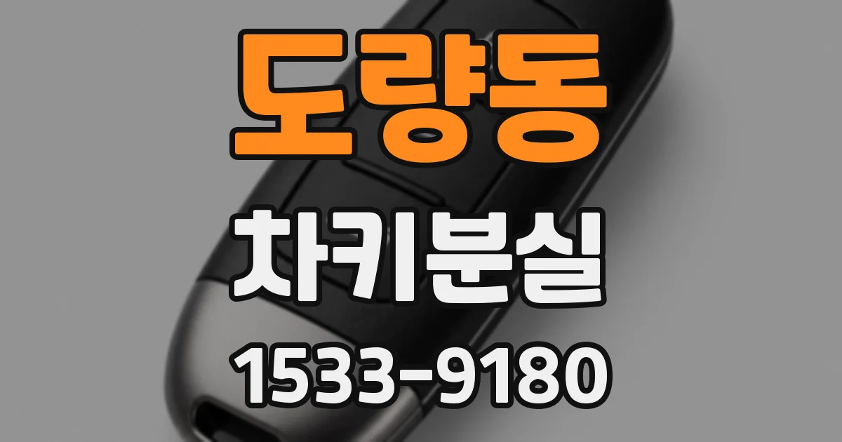 도량동 차키분실