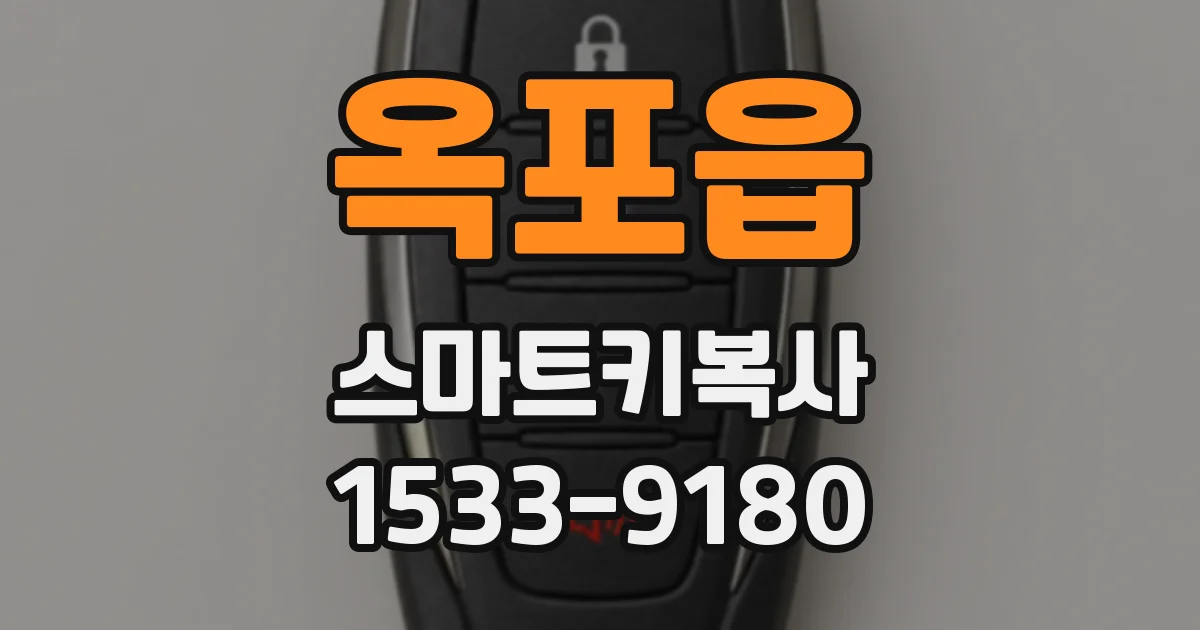 옥포읍 스마트키복사