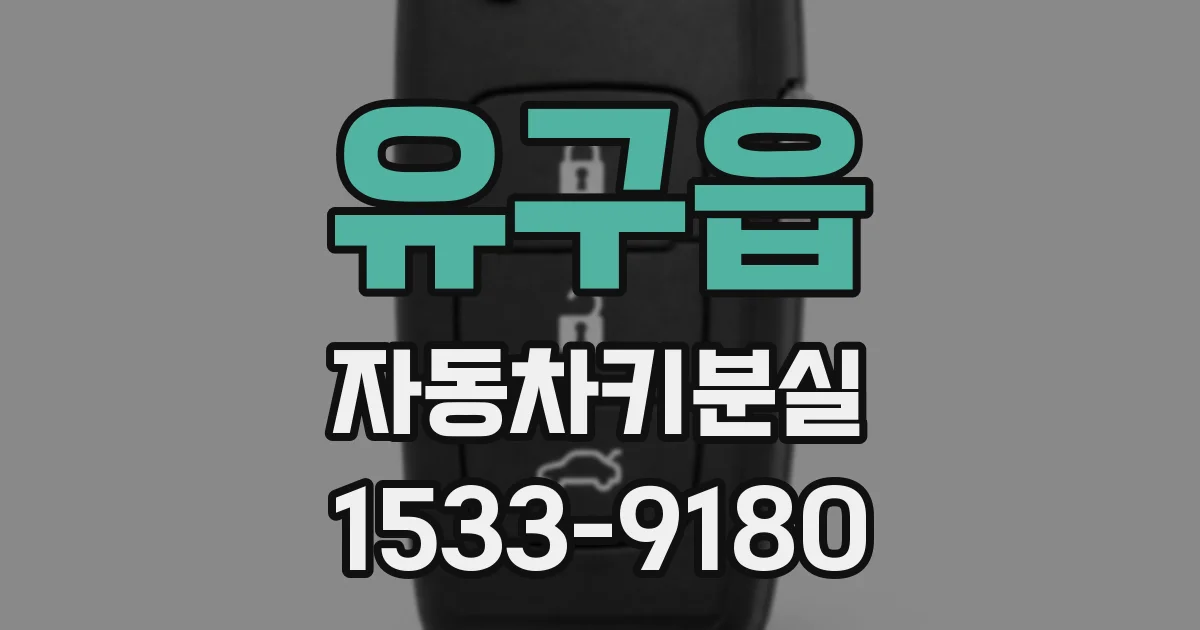 유구읍 자동차키분실