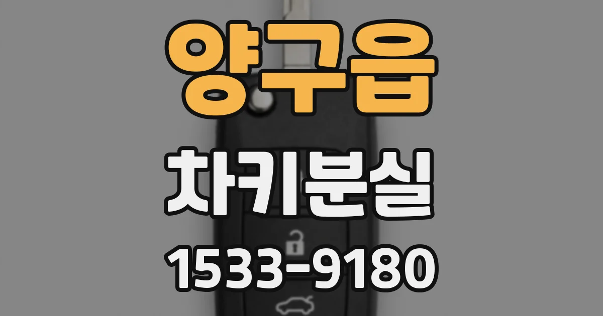 양구읍 차키분실
