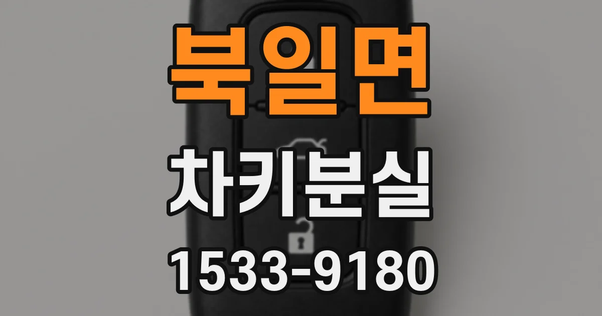 북일면 차키분실