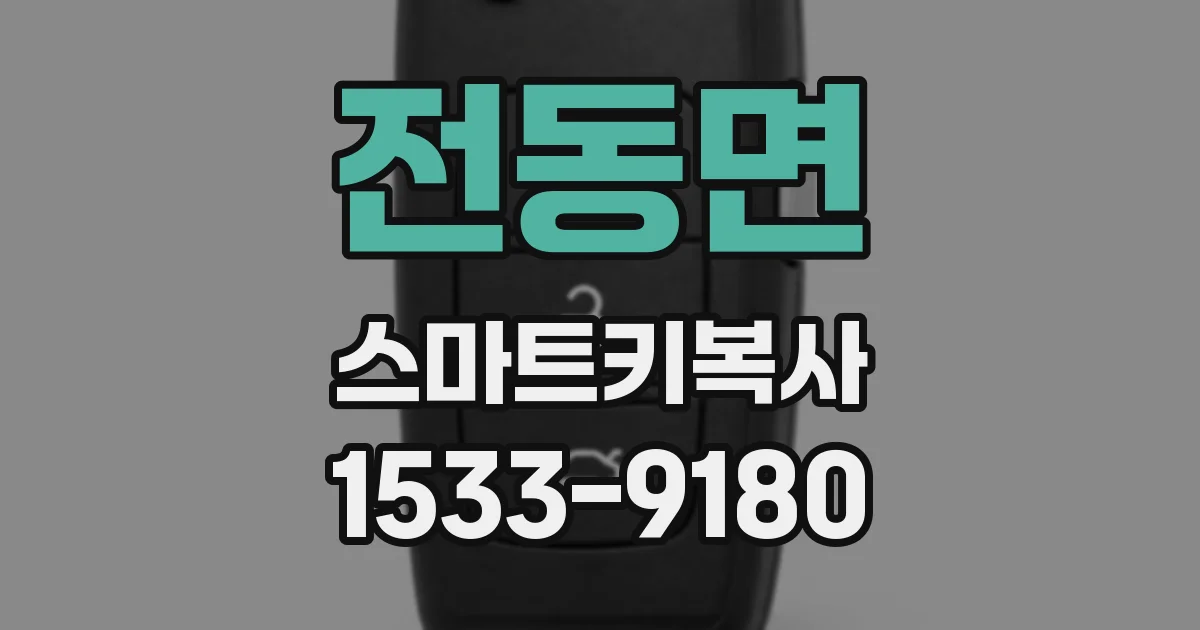 전동면 스마트키복사