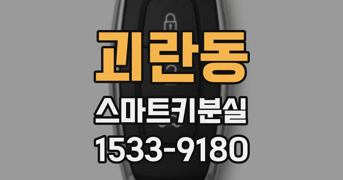 괴란동 스마트키분실
