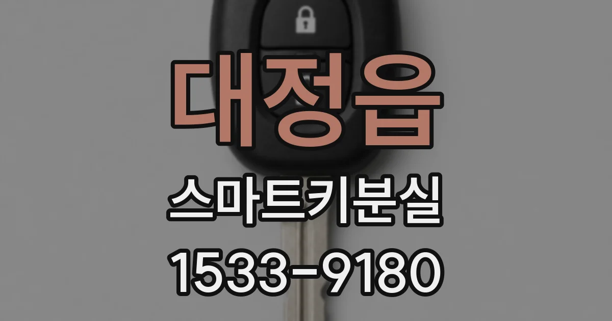 대정읍 스마트키분실