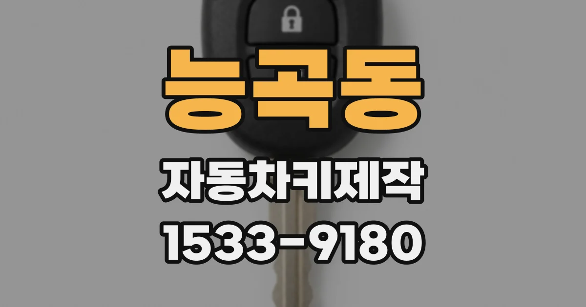 능곡동 자동차키제작