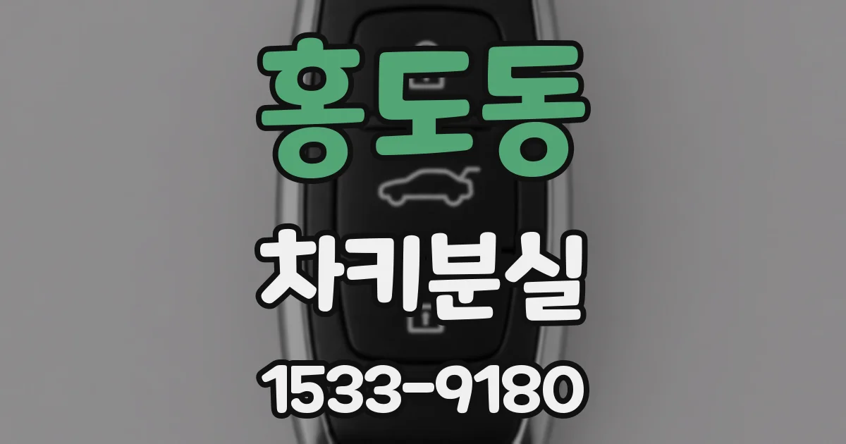 홍도동 차키분실
