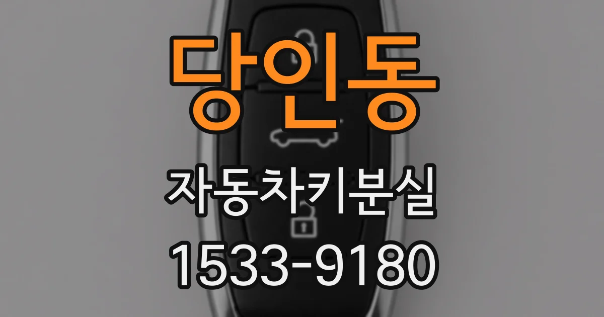 당인동 자동차키분실