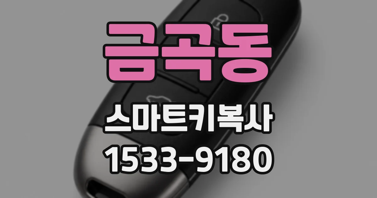 금곡동 스마트키복사