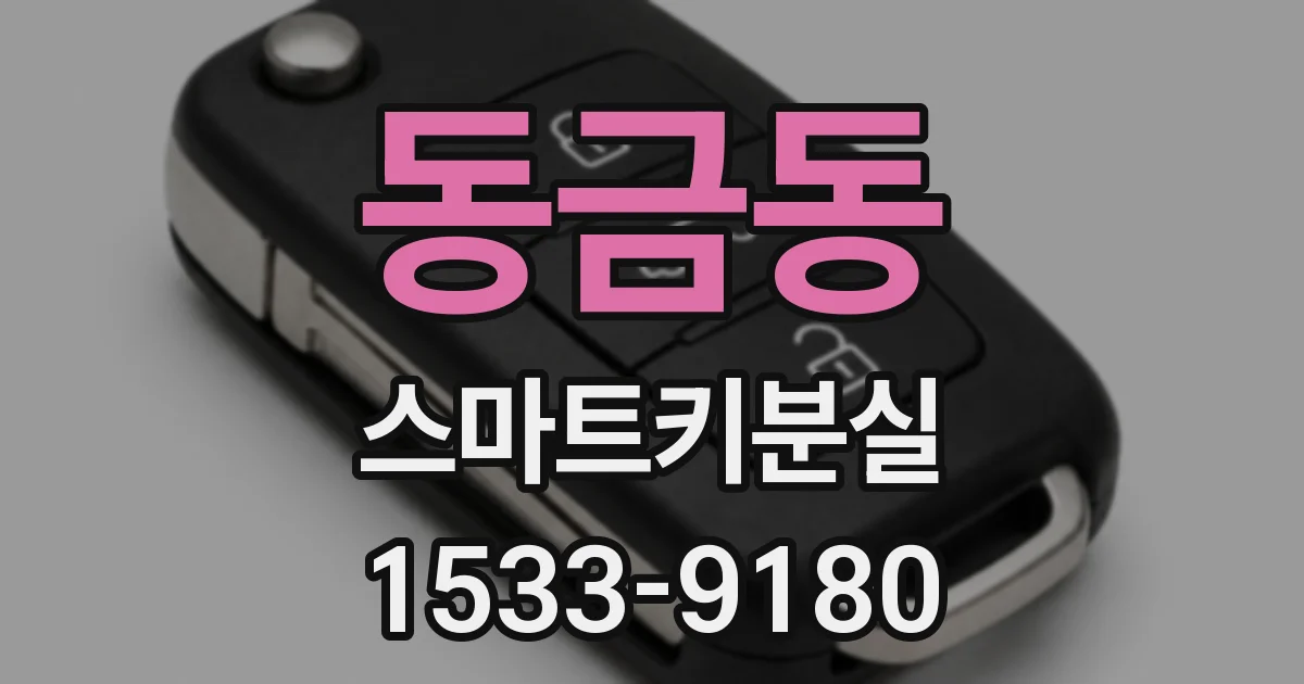 동금동 스마트키분실
