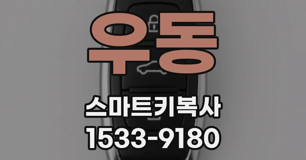 우동 스마트키복사