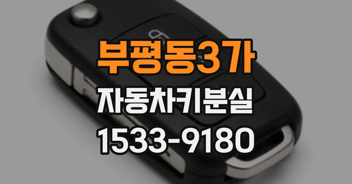 부평동3가 자동차키분실