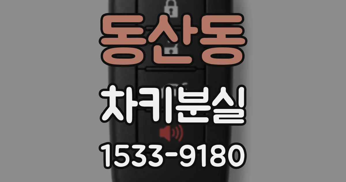동산동 차키분실