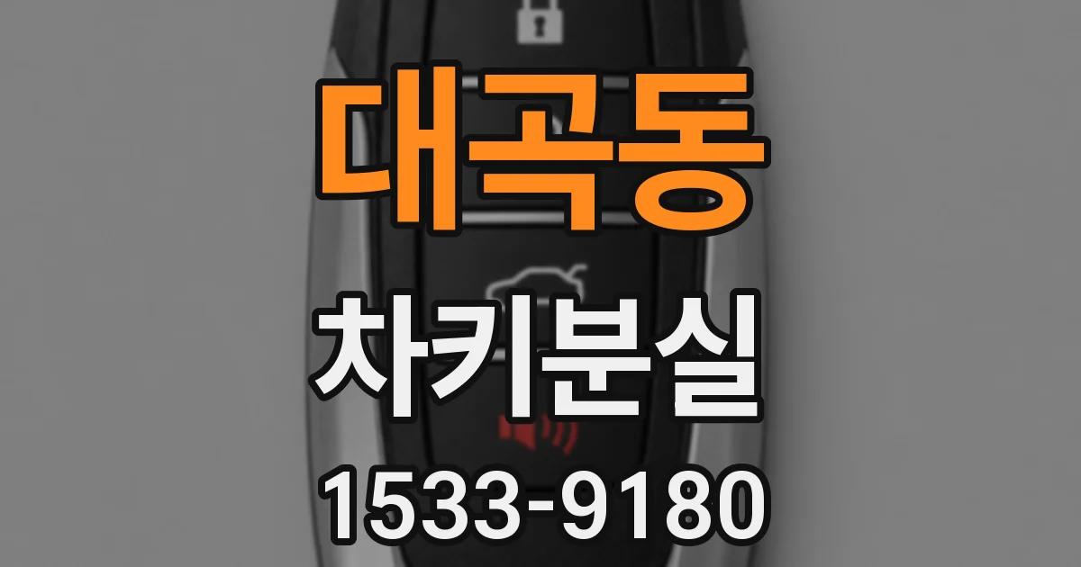대곡동 차키분실