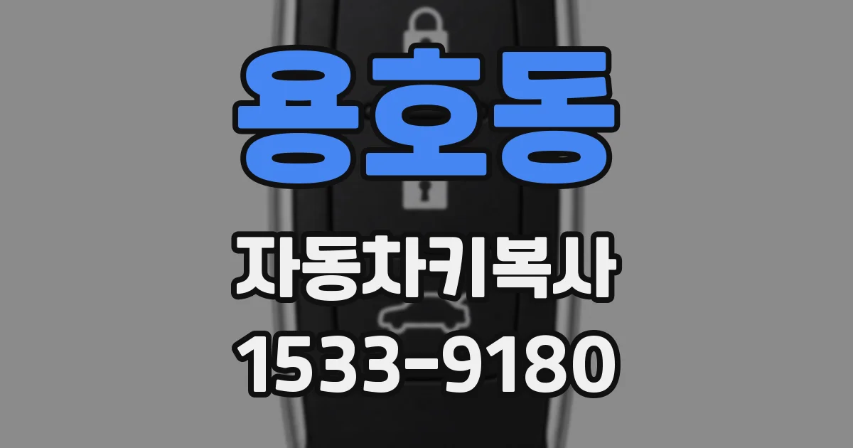 용호동 자동차키복사