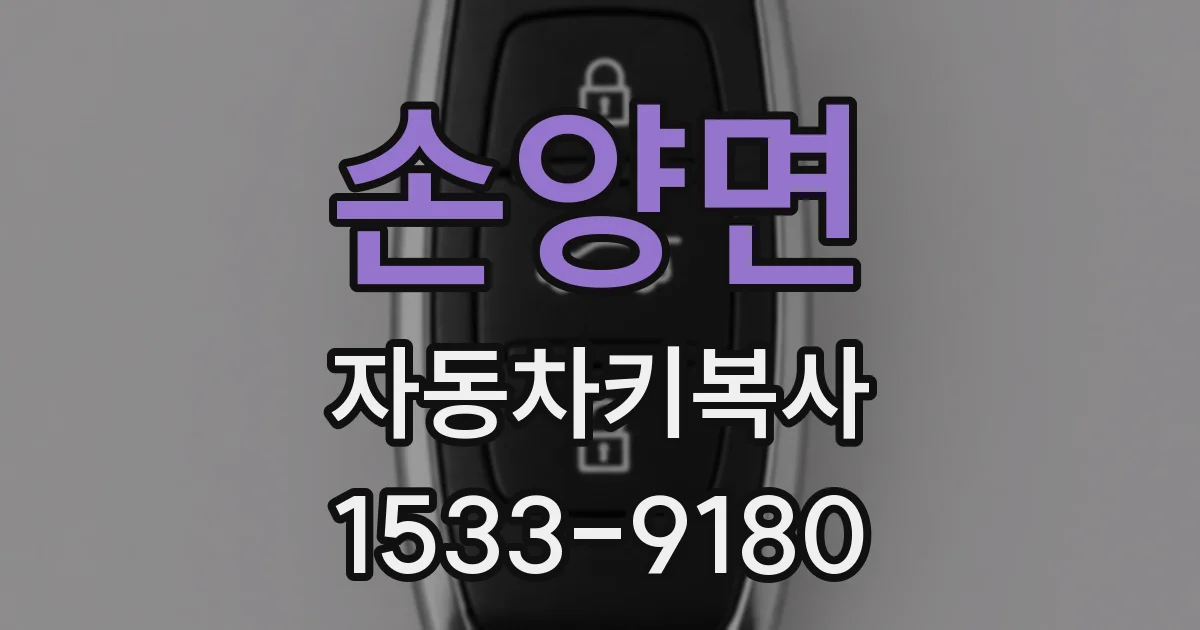 손양면 자동차키복사