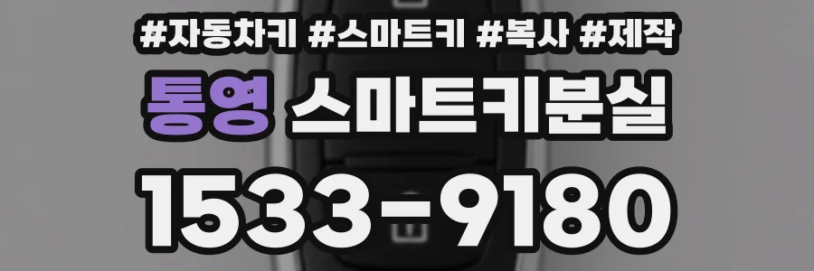 통영 스마트키분실