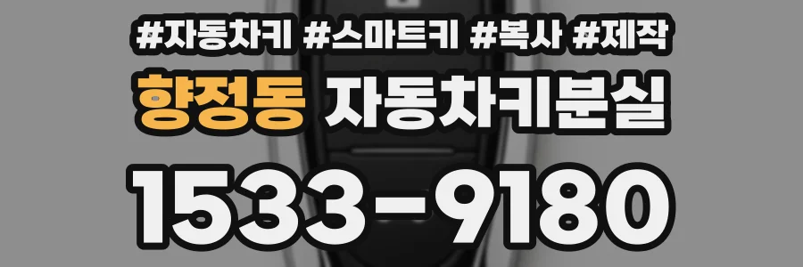 향정동 자동차키분실