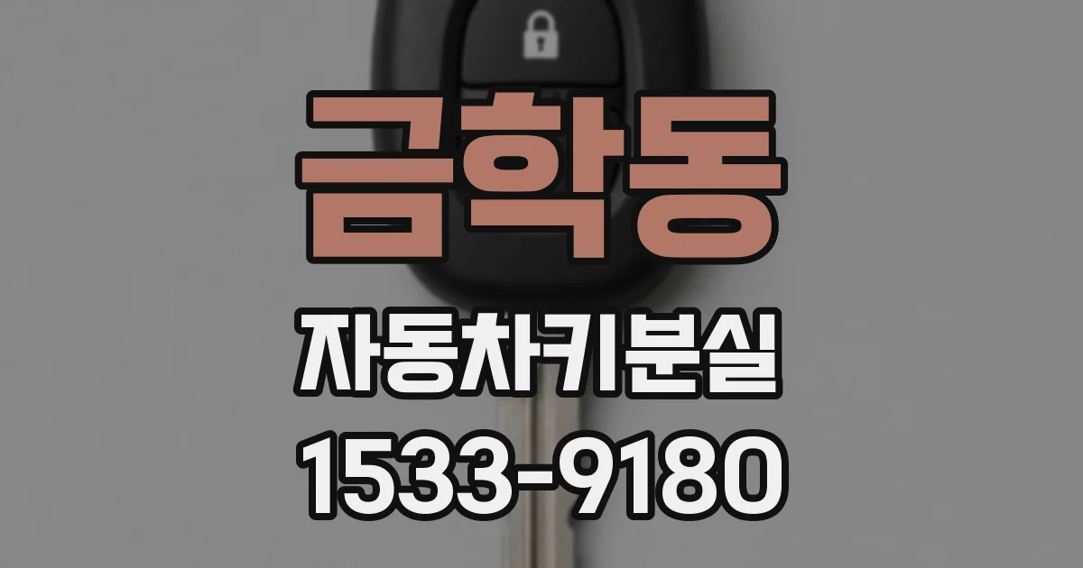 금학동 자동차키분실