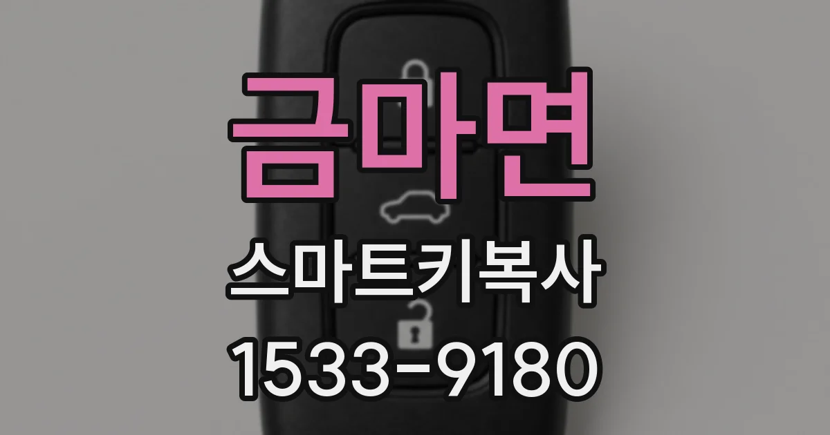 금마면 스마트키복사
