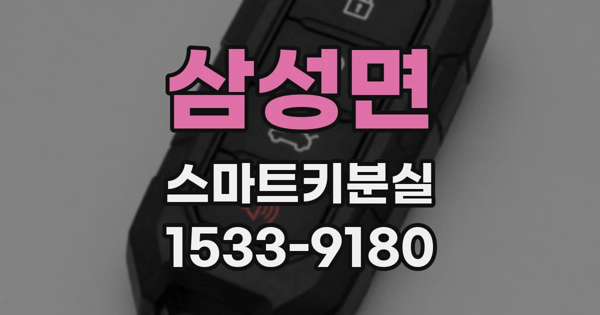 삼성면 스마트키분실