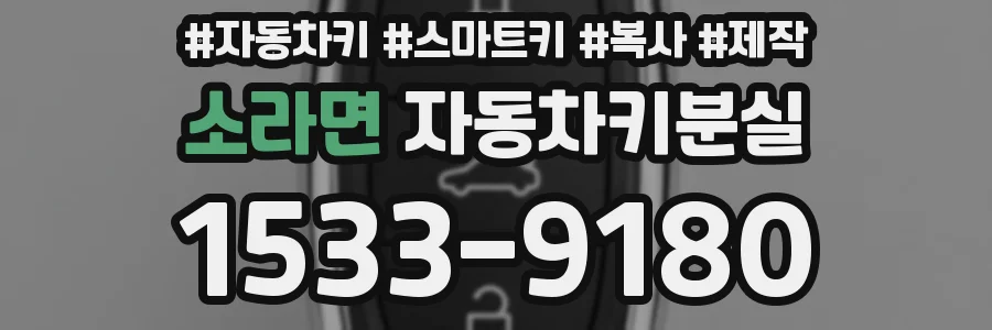 소라면 자동차키분실