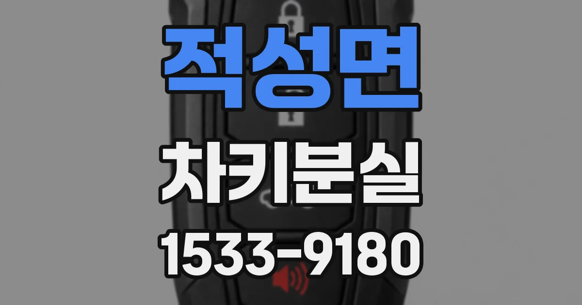 적성면 차키분실