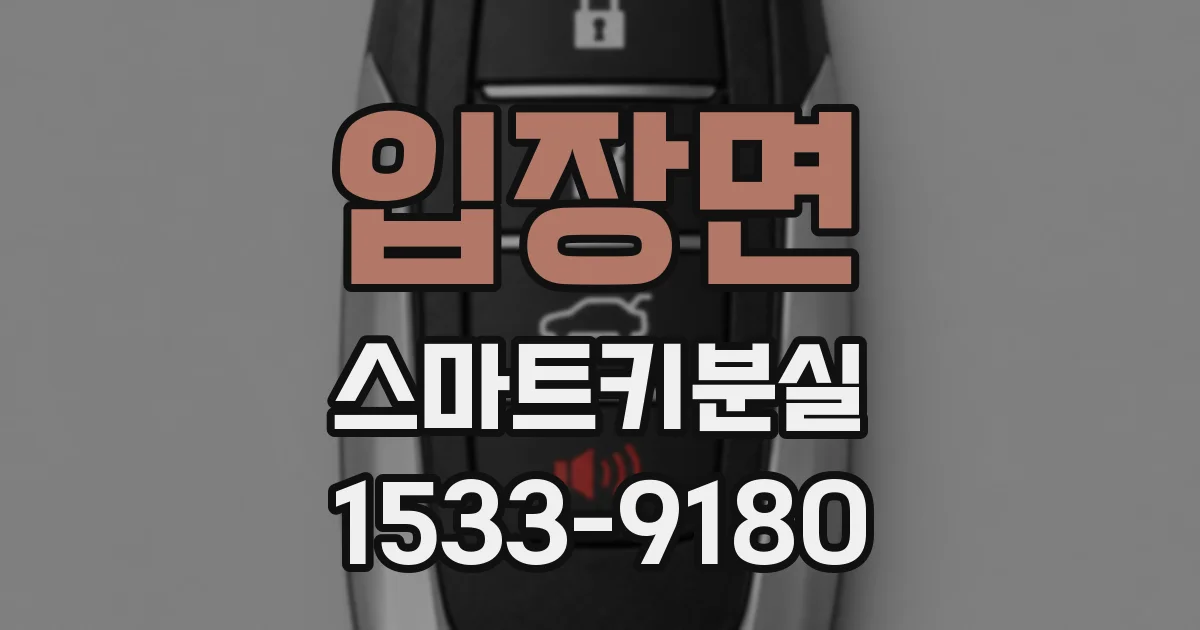 입장면 스마트키분실