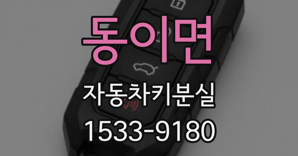 동이면 자동차키분실