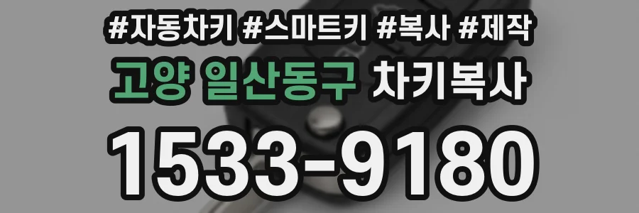 고양 일산동구 차키복사