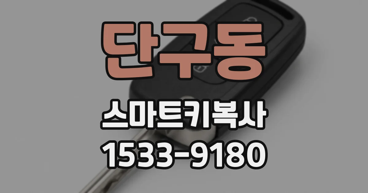 단구동 스마트키복사