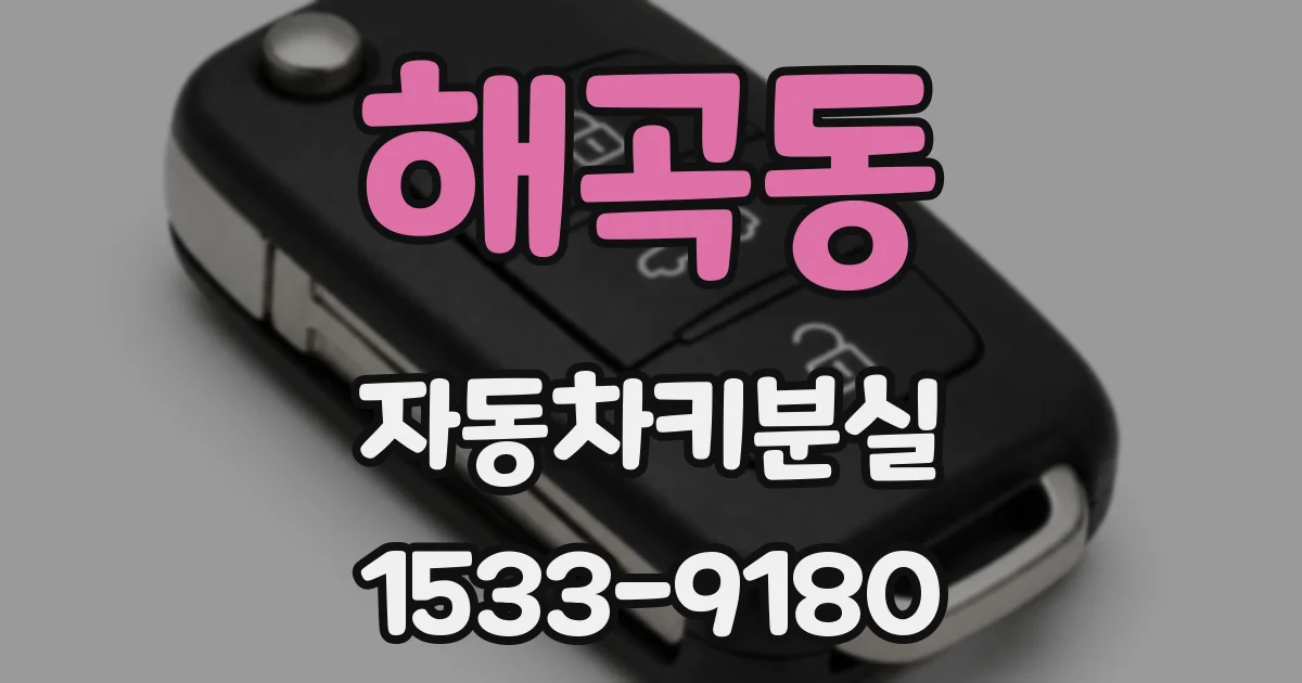 해곡동 자동차키분실