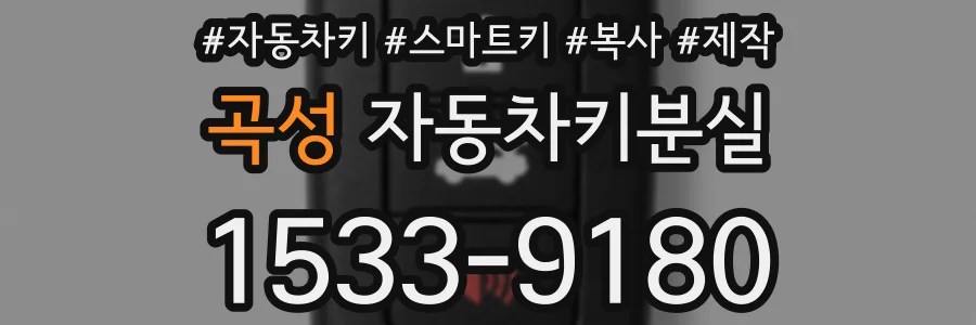 곡성 자동차키분실