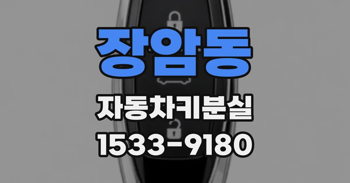 장암동 자동차키분실