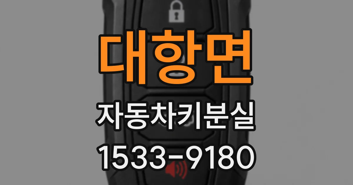 대항면 자동차키분실